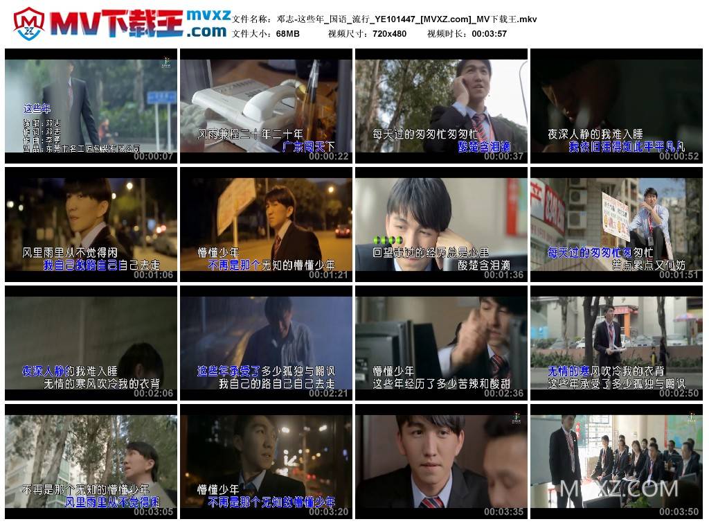 邓志-这些年_国语_流行_YE101447